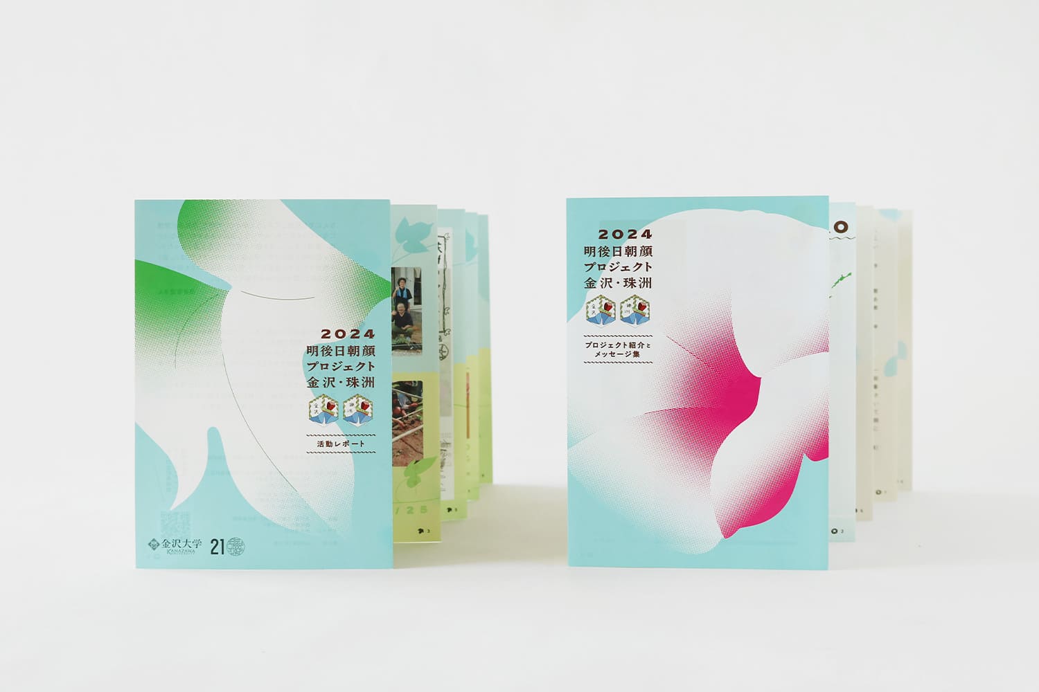 TOMOMI MIKOZAWA DESIGN OFFICE